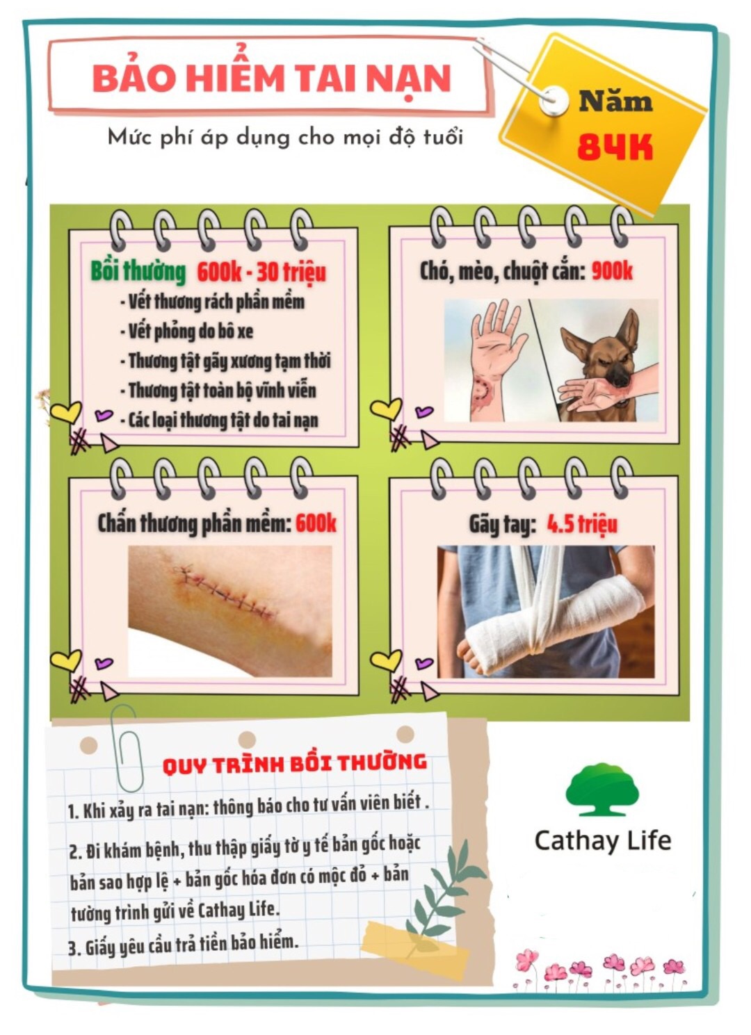 Hình ảnh 1 - Cty Bảo Hiểm Cathay Life