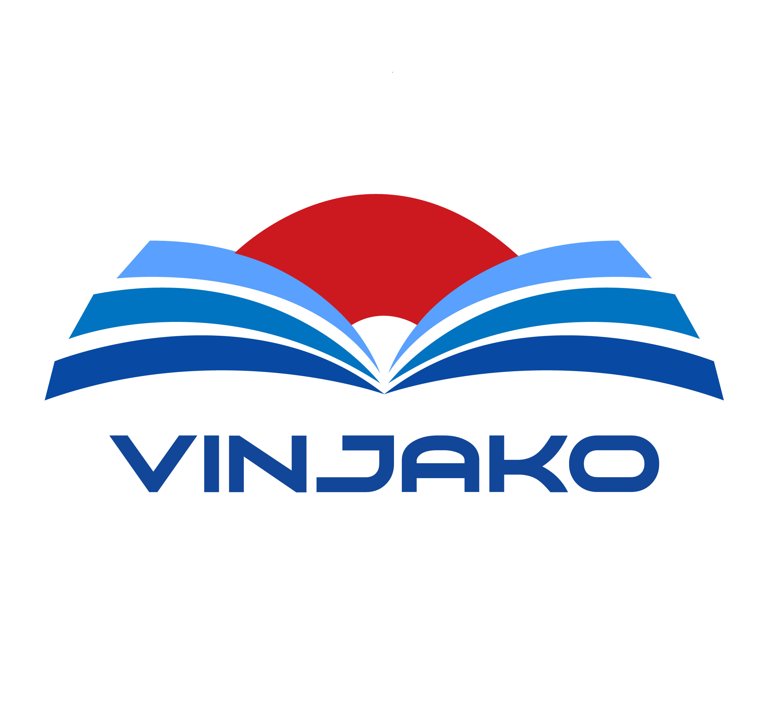 Hình ảnh 1 - Vinjako