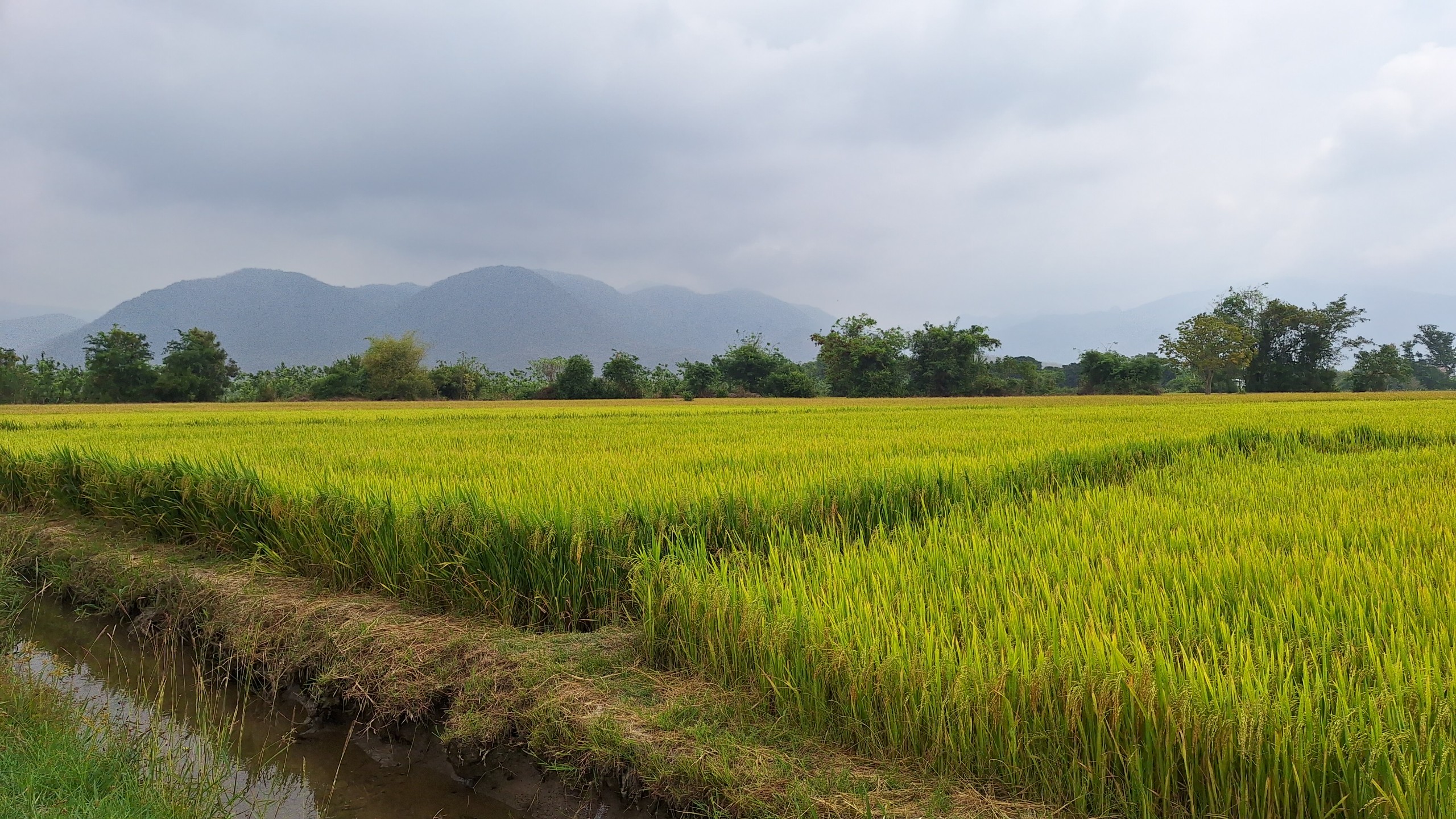 Hình ảnh 1 - Công Ty Cổ Phần Mộc Điền