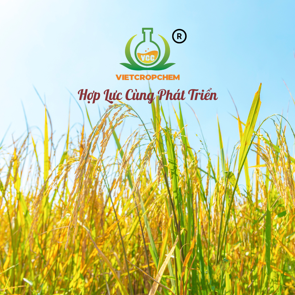 Hình ảnh 1 - Vietcropchem