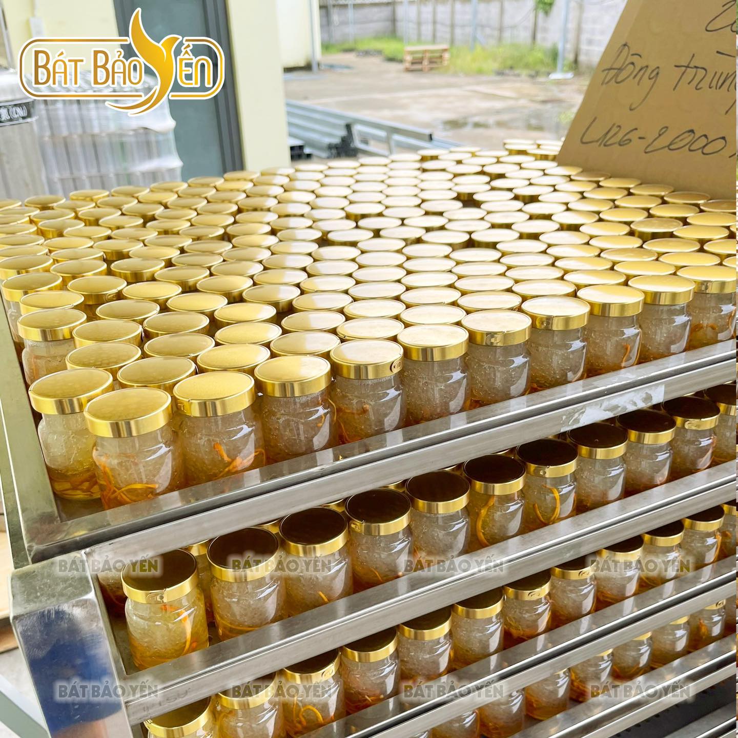 Hình ảnh 1 - Công Ty TNHH Thương Mại Sản Xuất Và Dịch Vụ Bỏng Gạo