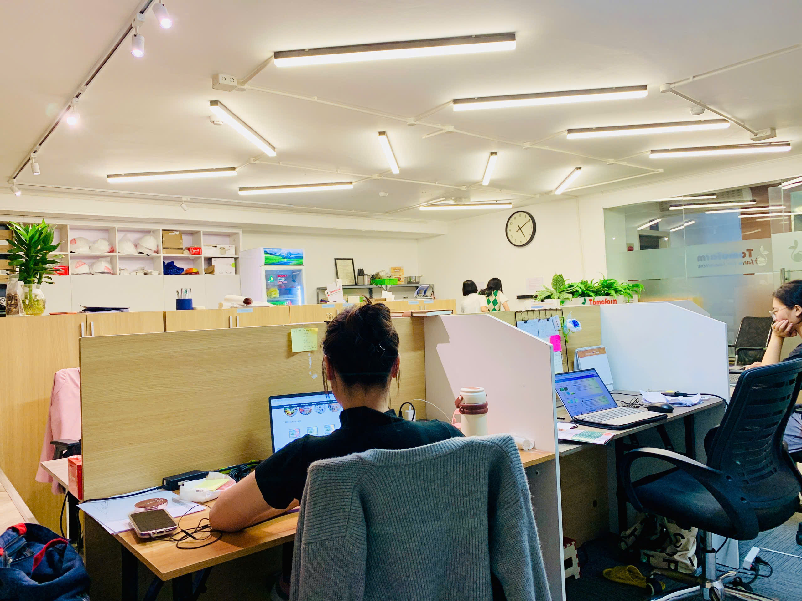 Hình ảnh 1 - Công Ty TNHH Niinuma Tomofarm