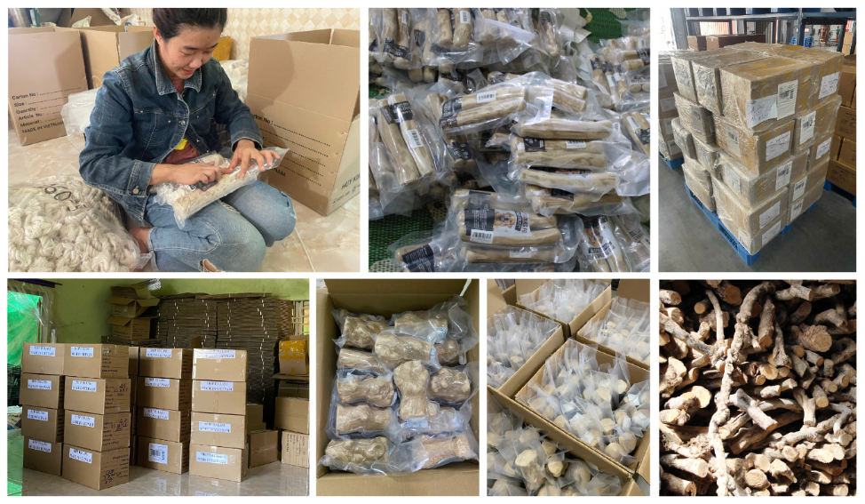 Hình ảnh 1 - Công Ty TNHH Fivive Global