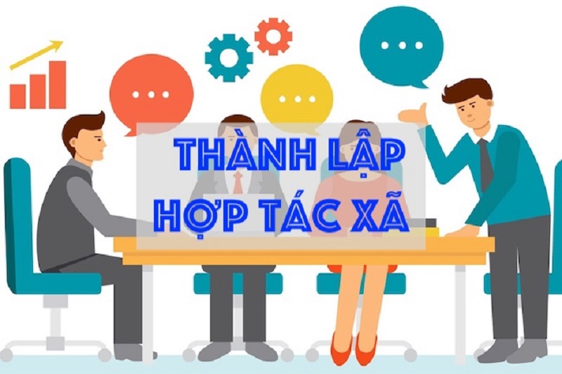 Hợp tác xã là gì? Cơ cấu tổ chức và ưu điểm, nhược điểm của mô hình hợp tác xã
