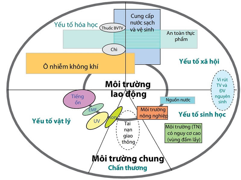 Bệnh nghề nghiệp là gì? Có nguy hiểm không và những lưu ý bạn cần nắm rõ