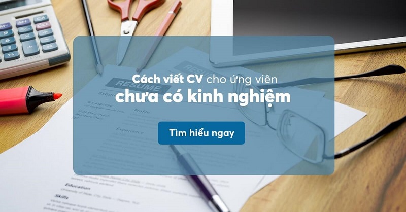 Mẫu CV cho người chưa có kinh nghiệm đẹp nhất