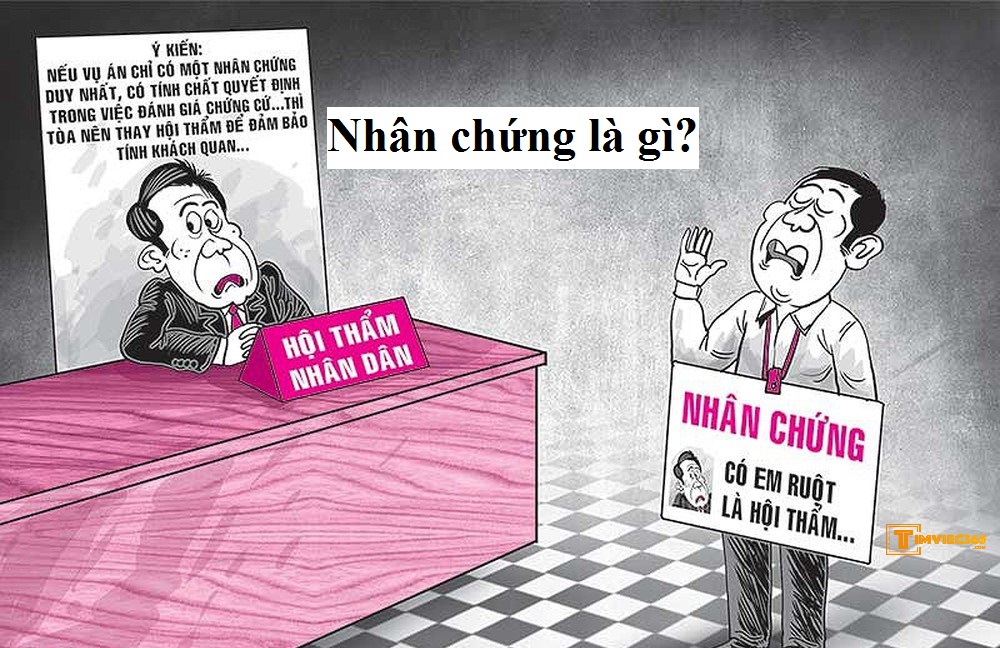 Trọn bộ khái niệm, quyền và nghĩa vụ của nhân chứng là gì?