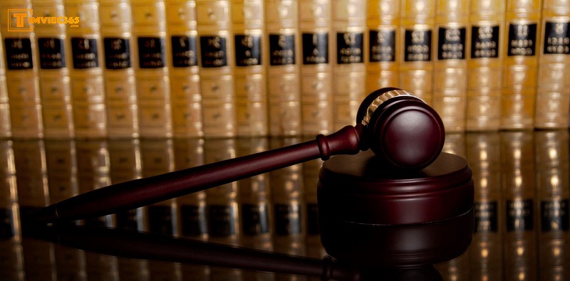 Khiếu kiện là gì? Điểm ra điểm khác nhau giữa khiếu kiện và khiếu nại