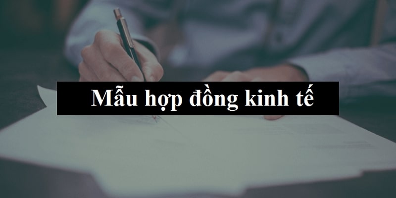 Tổng hợp các mẫu hợp đồng kinh tế và những điều cần biết!
