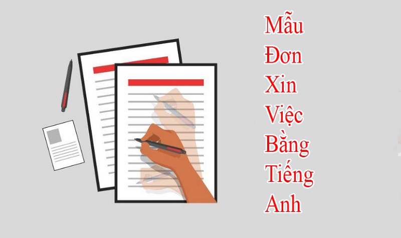 Đơn xin việc bằng tiếng Anh bước đến cánh cửa việc làm dễ dàng hơn
