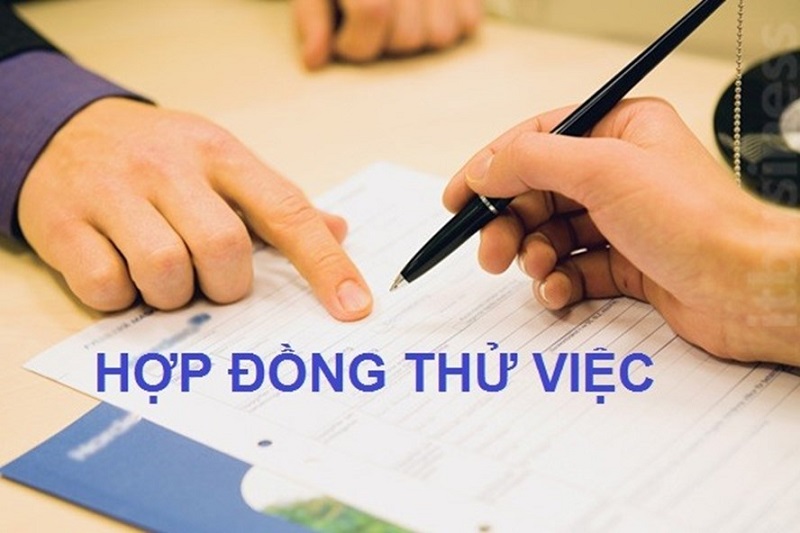 Mẫu hợp đồng thử việc chuẩn nhất mới nhất cho bạn