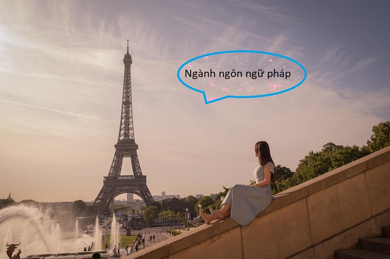Ngành Ngôn ngữ Pháp ra làm gì? Tổng hợp những thông tin cần biết