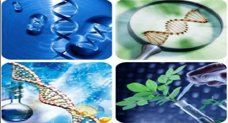 Ngành Sinh học ứng dụng ra làm gì? Khám phá ngay cơ hội việc làm