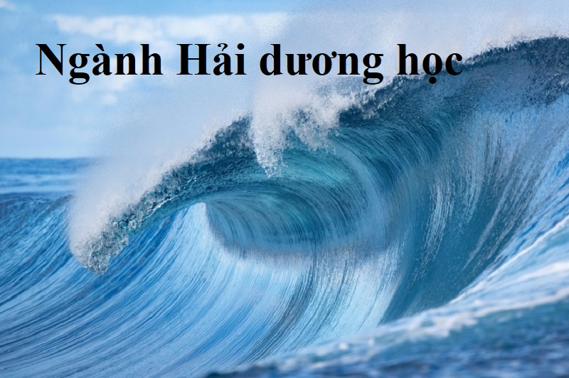 [Khám phá] Ngành hải dương học ra làm gì? Bí ẩn từ đại dương