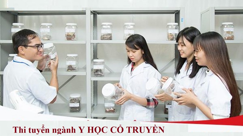 Trả lời cho câu hỏi ngành Y học cổ truyền ra làm gì?