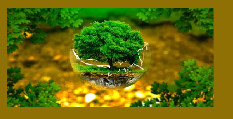 Ngành quản lý tài nguyên và môi trường ra làm gì? Học trường gì?