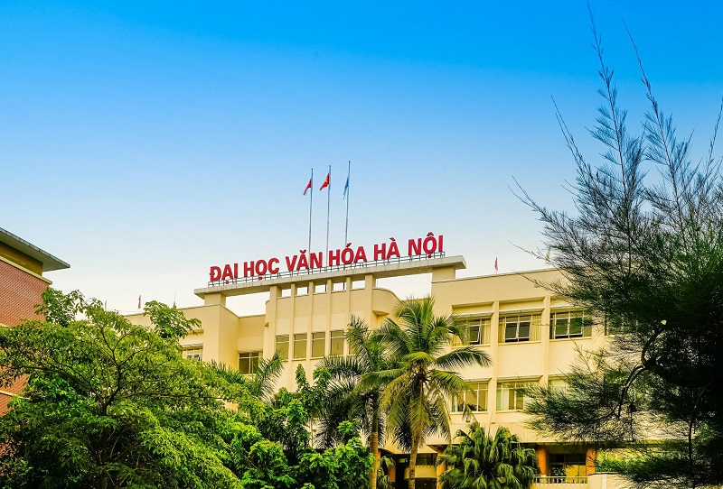 Ngành văn hóa học ra làm gì? Khám phá cơ hội việc làm văn hóa hot nhất!