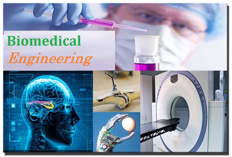 Ngành Kỹ thuật Y sinh ra làm gì? Cơ hội nghề nghiệp ra sao?