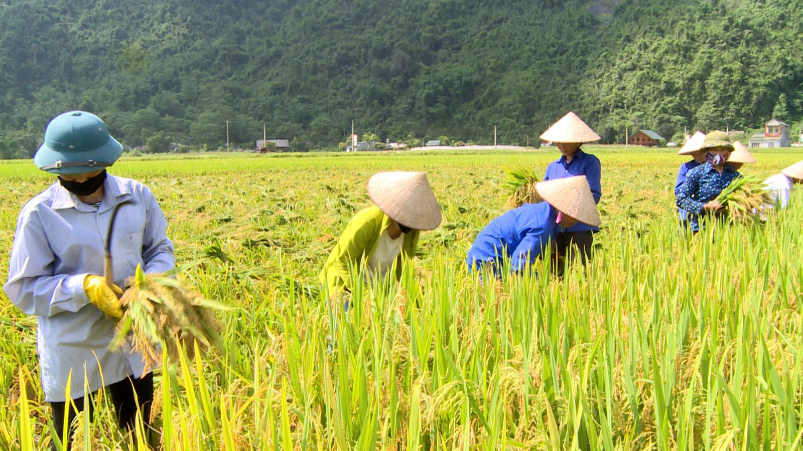 Bạn có biết học xong ngành nông nghiệp ra làm gì?
