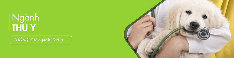 Ngành Thú y ra làm gì và những cơ hội việc làm hấp dẫn