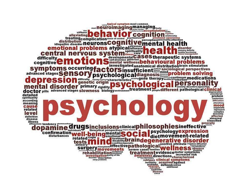 Ngành Tâm lý học – học xong ra làm gì?