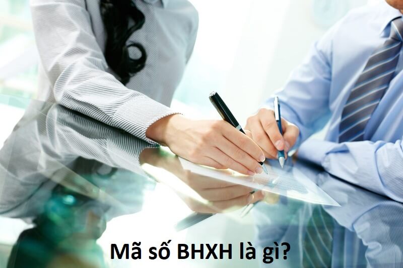 Mã số BHXH là gì – Giải đáp những thông tin về BHXH bạn cần biết