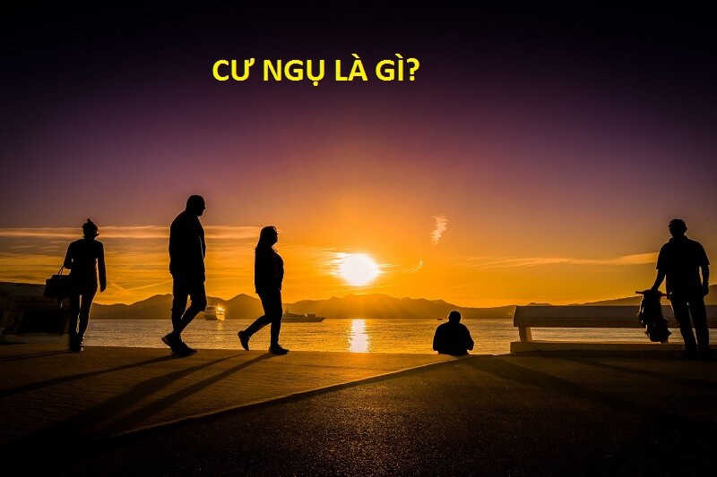 Cư ngụ là gì? Cách để hòa hợp với mọi người trong căn cư ngụ chung