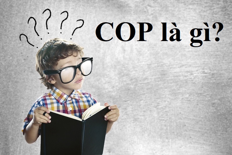 [COP là gì] Bí quyết chọn sản phẩm điện lạnh tiết kiệm điện năng