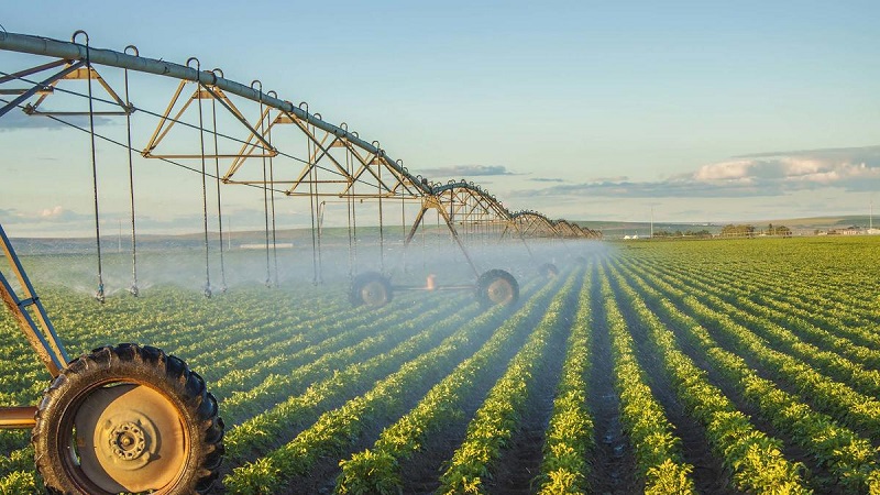 [Chia sẻ] Dịch vụ nông nghiệp là gì - Nền nông nghiệp hiện đại