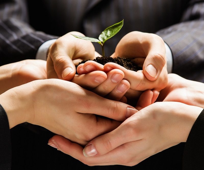 Marketplace là gì? Toàn bộ những thông tin cần biết về Marketplace