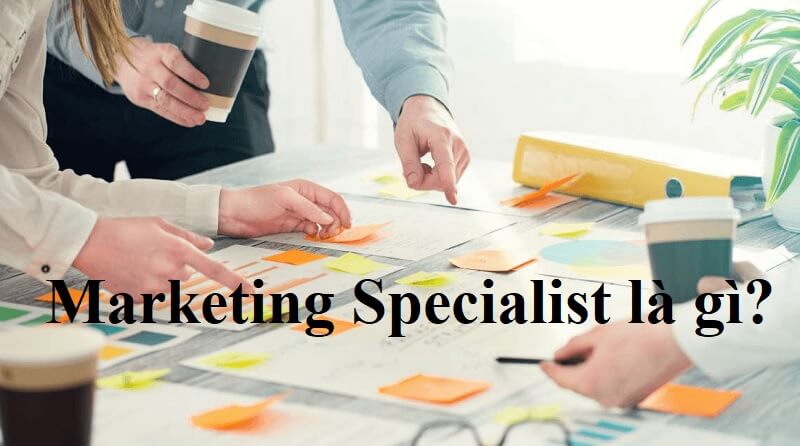 marketing-specialist-la-gi