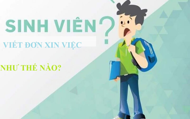 Mẫu đơn xin việc cho sinh viên chưa tốt nghiệp ấn tượng nhất