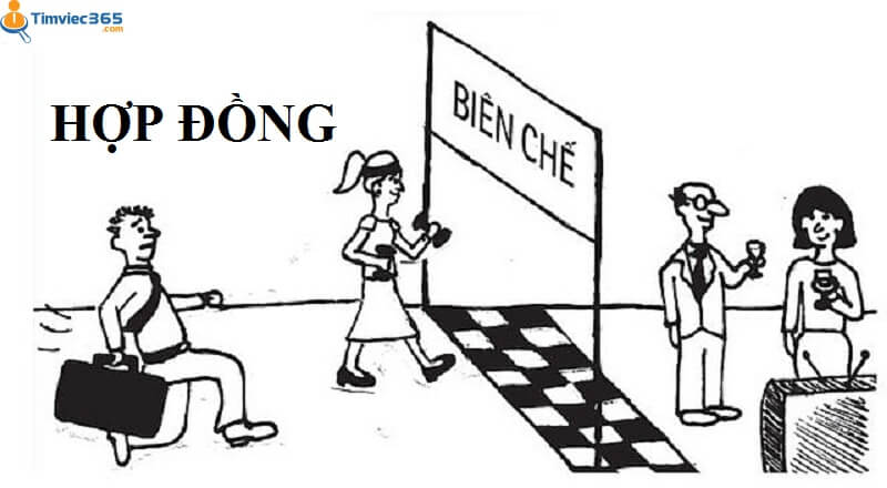 Những lời khuyên bổ ích khi viết đơn xin việc giáo viên hợp đồng