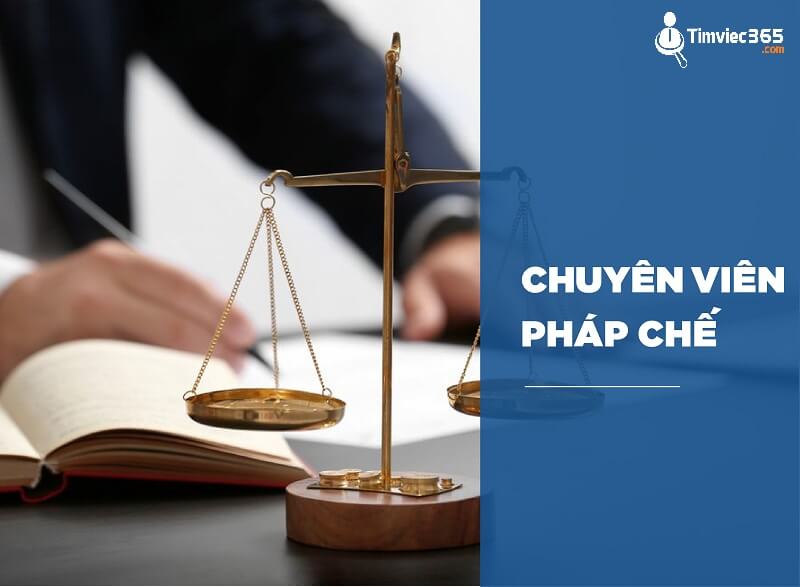 Tìm hiểu bản mô tả công việc chuyên viên pháp chế đầy đủ nhất