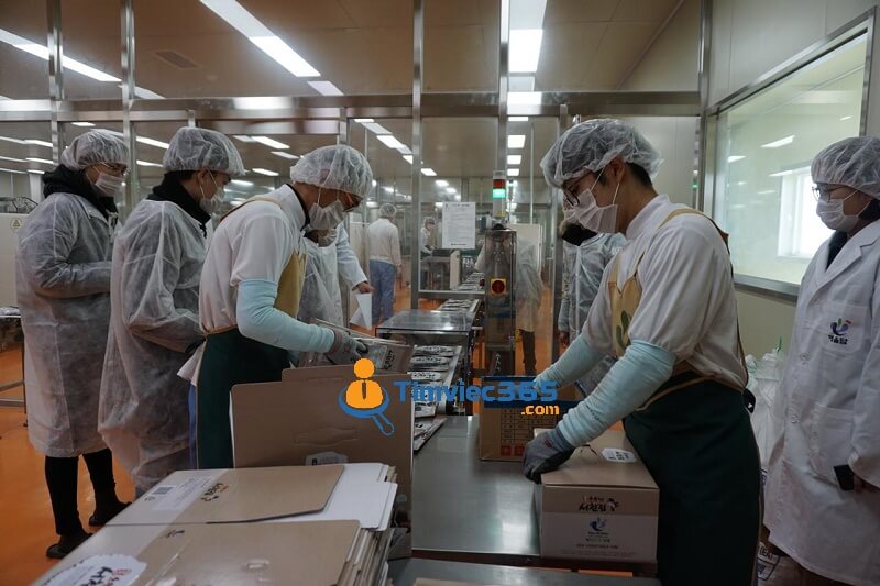Mô tả công việc công nhân đóng gói giúp bạn tìm việc làm hiệu quả