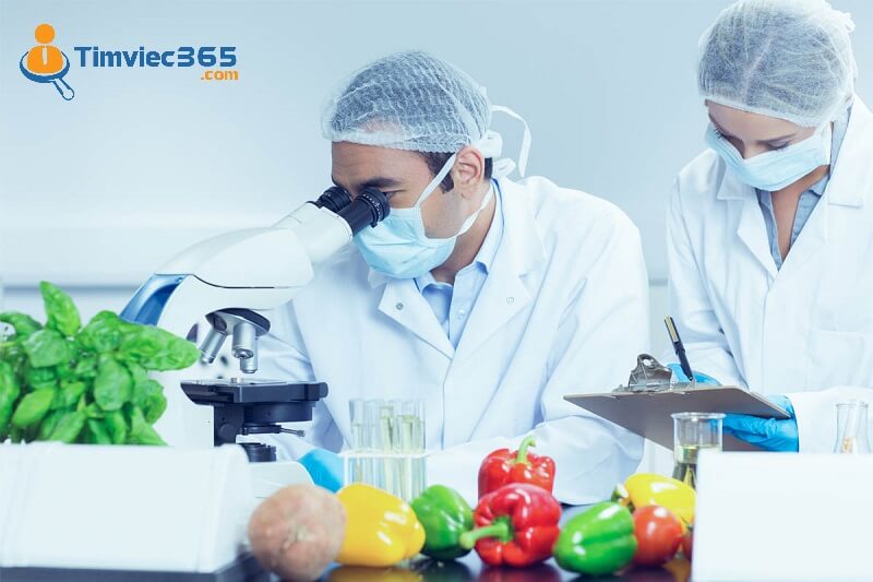 Chi tiết bản mô tả công việc Kỹ sư công nghệ thực phẩm!