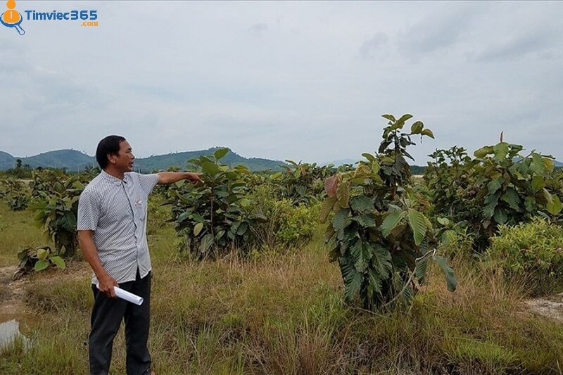 [Cập nhật] Mô tả công việc cán bộ địa chính đầy đủ và chi tiết nhất