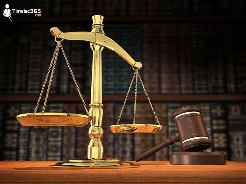 [Giải mã bí ẩn] Luật kinh tế là gì? Những thông tin mà bạn cần biết