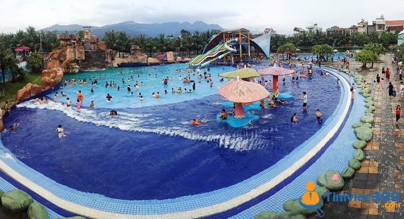 [Update] Bản mô tả công việc nhân viên hồ bơi mới nhất