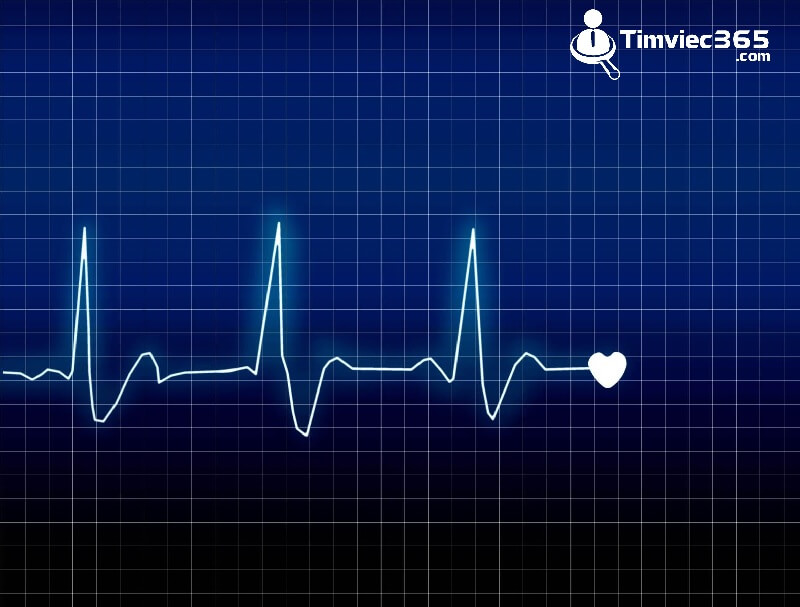 Tìm hiểu về BPM là gì? Chỉ số đánh giá về sức khỏe tim mạch