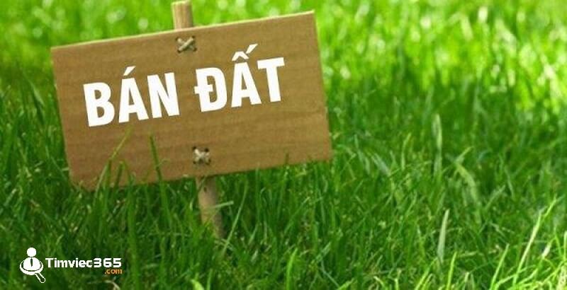 Mách bạn cách bán đất nhanh nhất đem về lợi nhuận khủng!