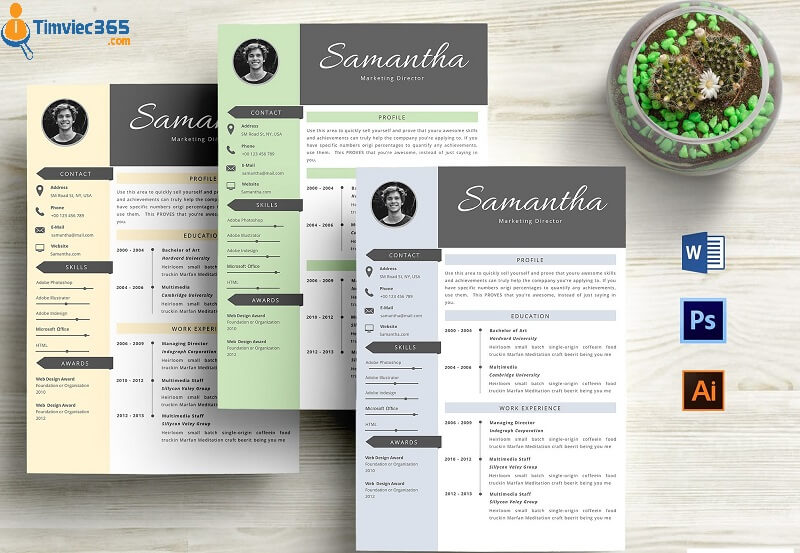 Tổng hợp Template CV đẹp nhất từ trước đến nay mà bạn cần biết