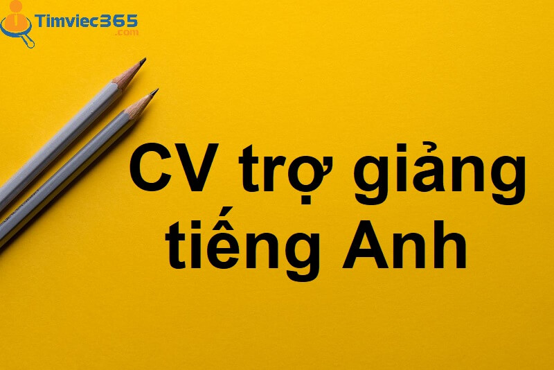 CV trợ giảng tiếng Anh – Tạo ấn tượng khi dùng tiếng Anh trong CV