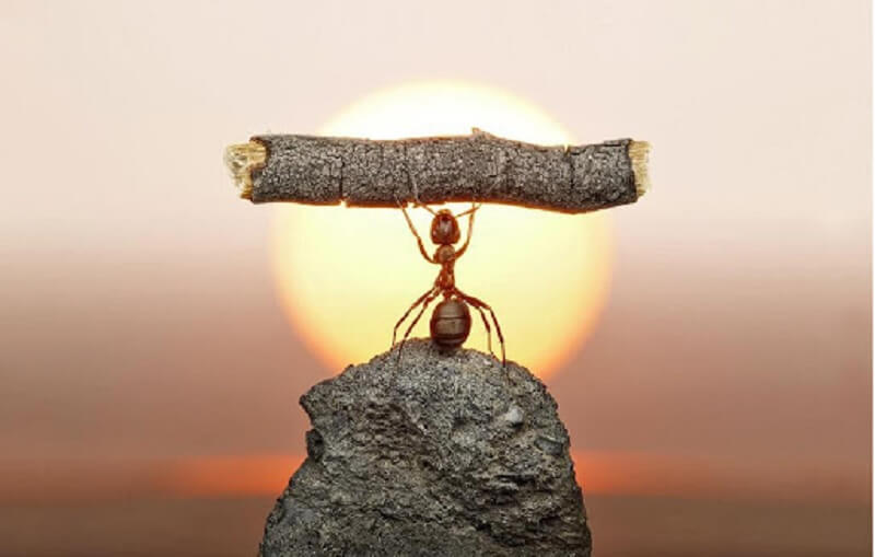 Nỗ lực là gì? Hướng dẫn cách nỗ lực để mang đến thành công