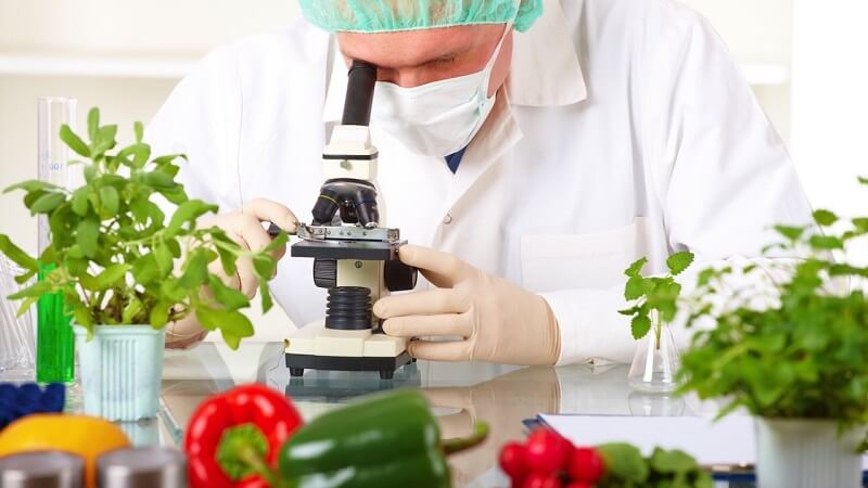 CV ngành công nghệ thực phẩm chinh phục nhà tuyển dụng tương lai