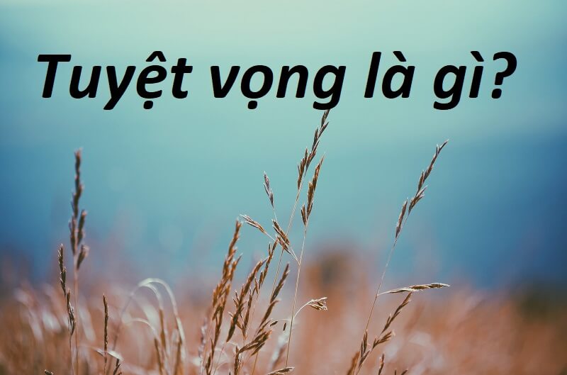 Tuyệt vọng là gì? Cách đưa bạn ra khỏi tình trạng tuyệt vọng
