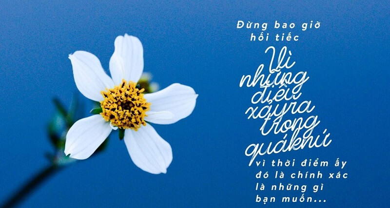 Cách viết thư chia tay đồng nghiệp hài hước để lại ấn tượng tốt