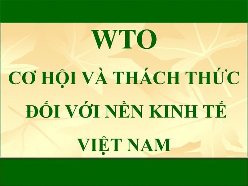 Việt Nam có cơ hội và thách thức khi gia nhập WTO như thế nào?