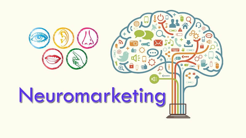 Neuromarketing là gì? Xu hướng Marketing hiện đại, hiệu quả
