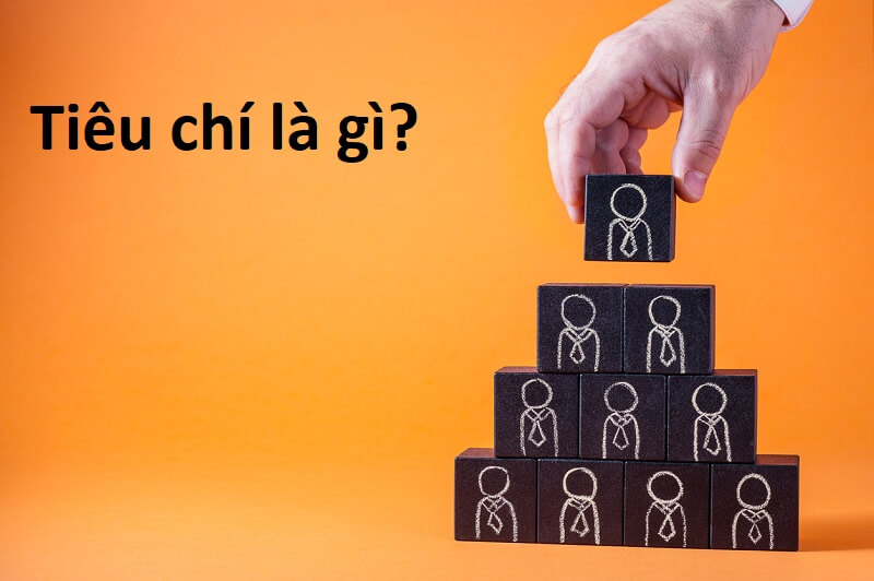 Tiêu chí là gì? Những thông tin hữu ích có liên quan đến tiêu chí